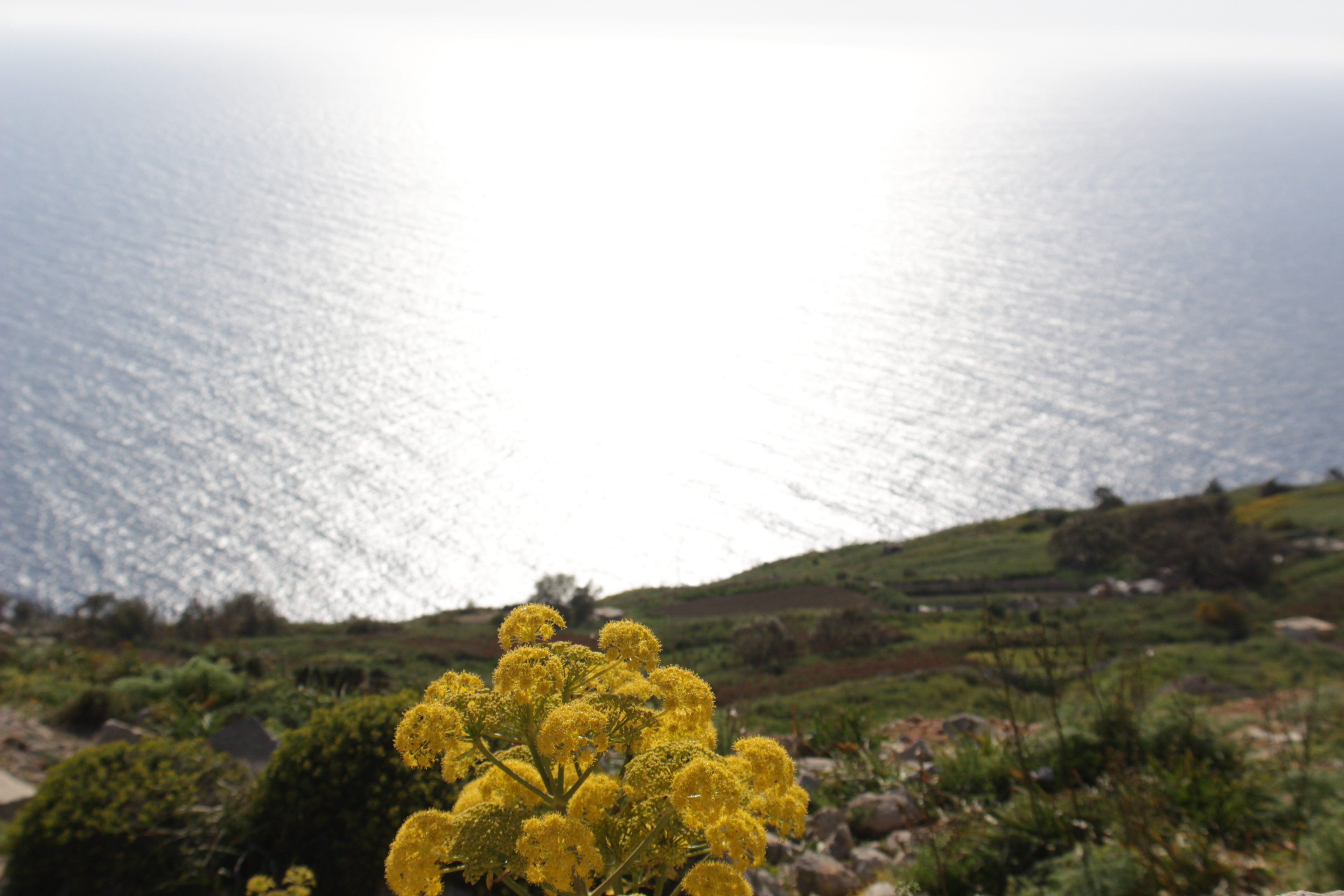 Dingi Cliffs, Malta