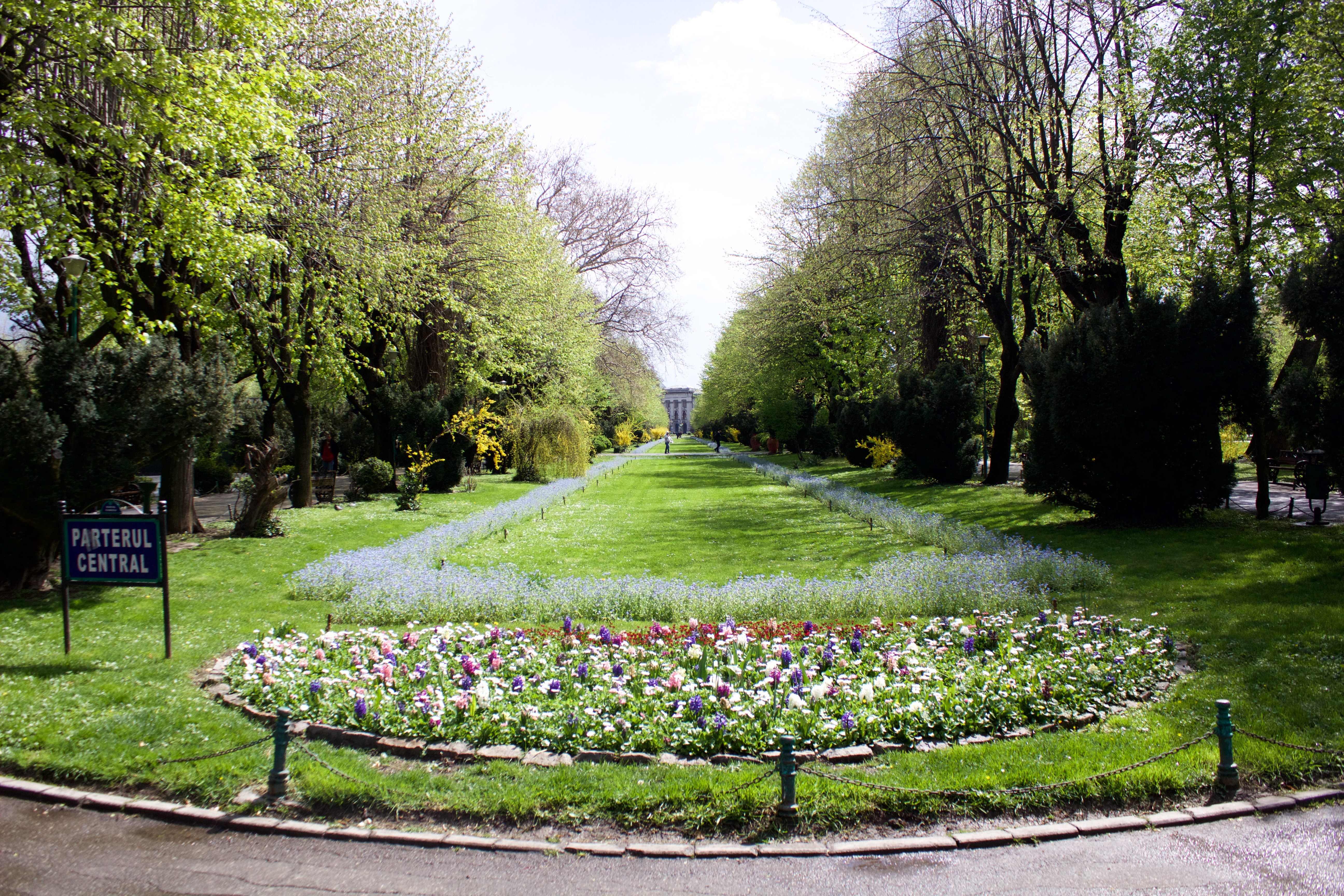 Spring blooms in Cismigiu Gardens