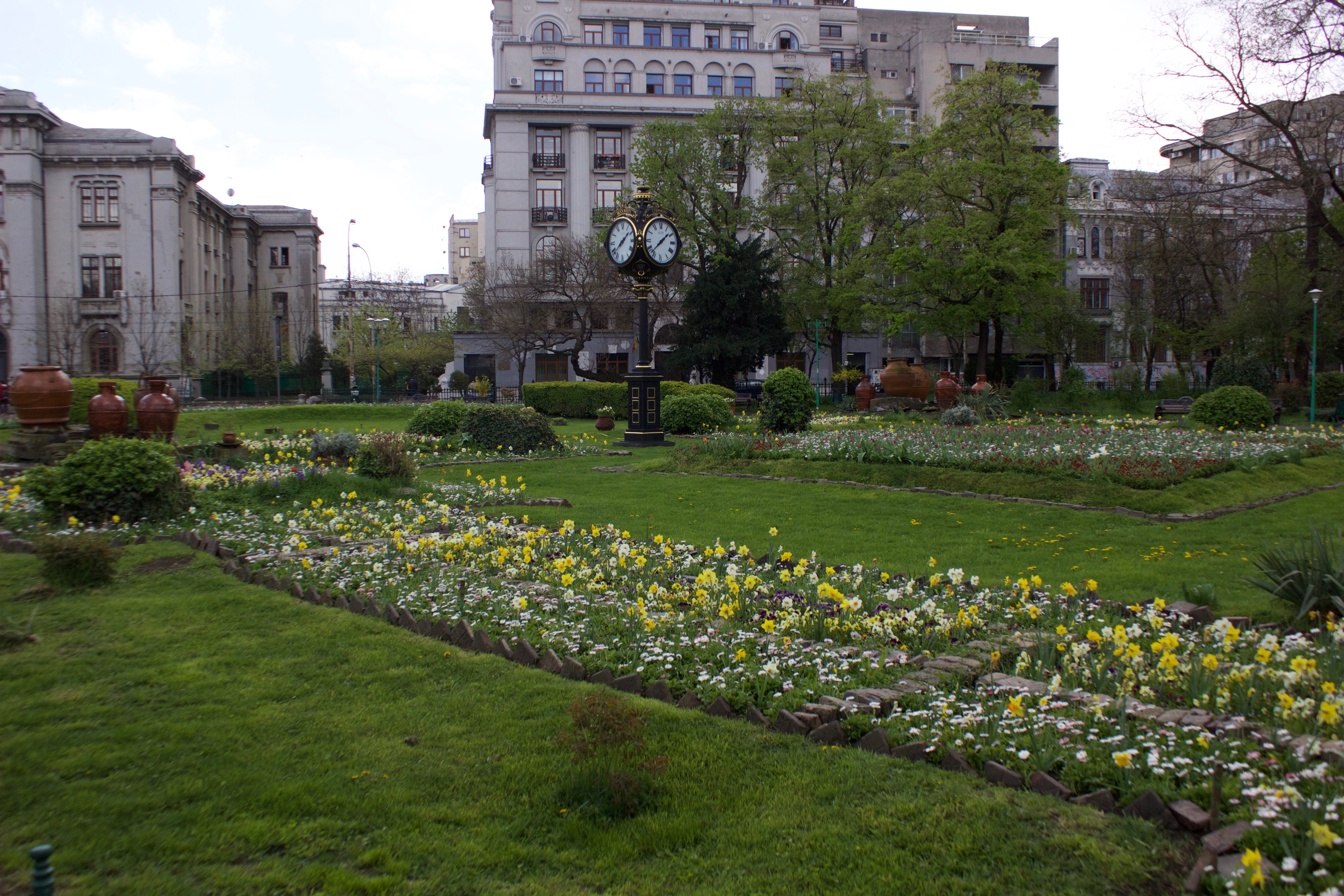 Spring blooms in Cismigiu Gardens