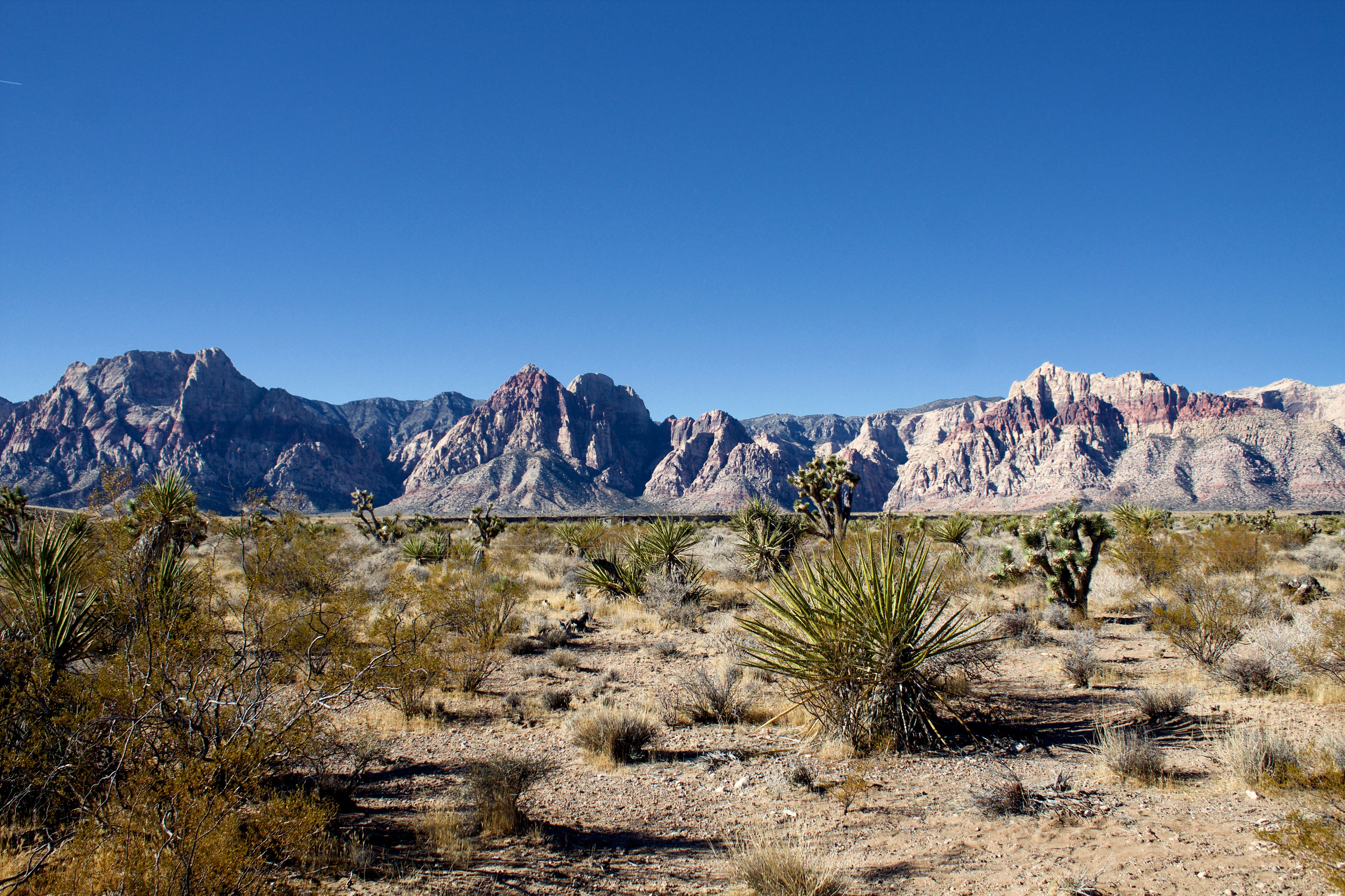 Red Rock Canyon, Las Vegas, Nevada, USA